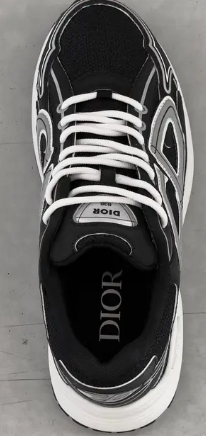 DIOR B30 Black and White