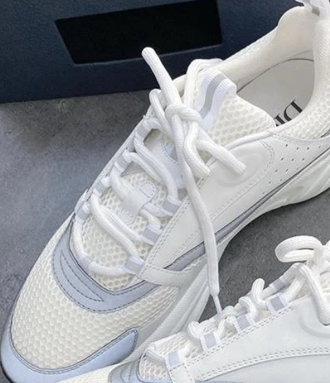 DIOR B22 White