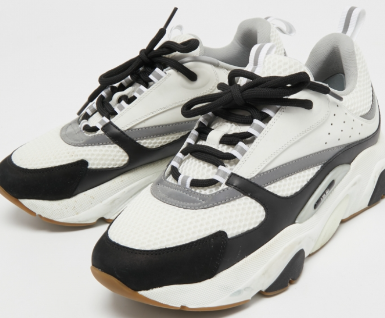 DIOR B22 Black and White