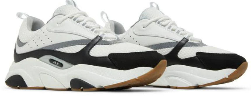 DIOR B22 Black and White