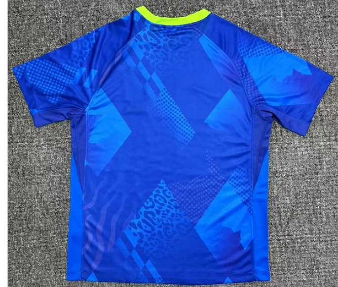 Camisola Brasil 25/26 Alternativa