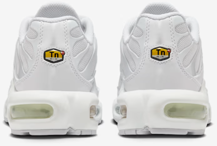 Nike Air Max TN Brancos