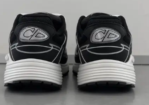 DIOR B30 Black and White