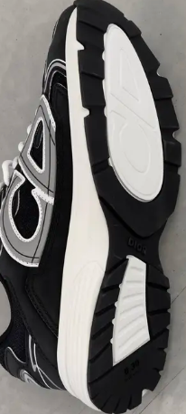 DIOR B30 Black and White