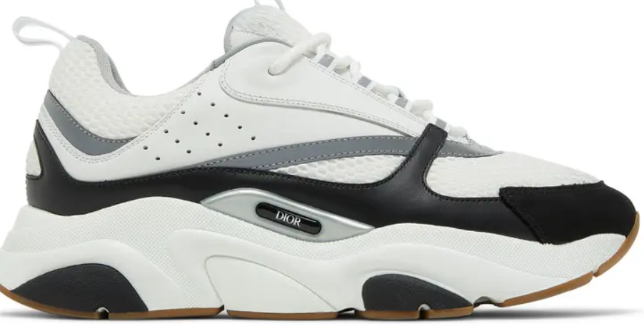 DIOR B22 Black and White