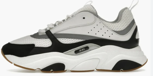 DIOR B22 Black and White