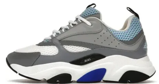 DIOR B22 White and Blue