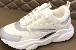 DIOR B22 White